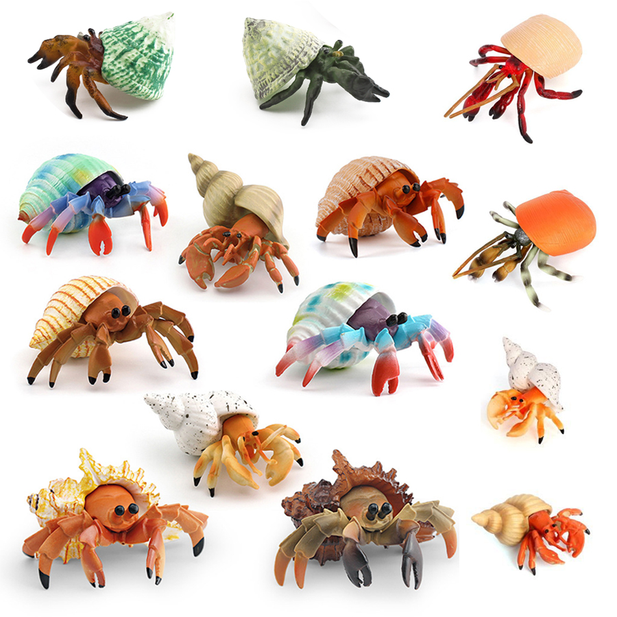 Realistic Hermit Crab Figurine - Kids Toys 3 Year Old recension och pris